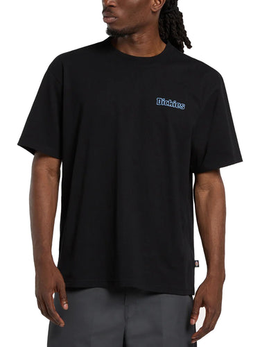 T-shirt Uomo Dickies - T-Shirt Fairlawn - Nero