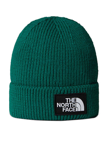 Berretti in maglia Unisex The North Face - Berretto Con Risvolto E Logo Box Tnf - Verde
