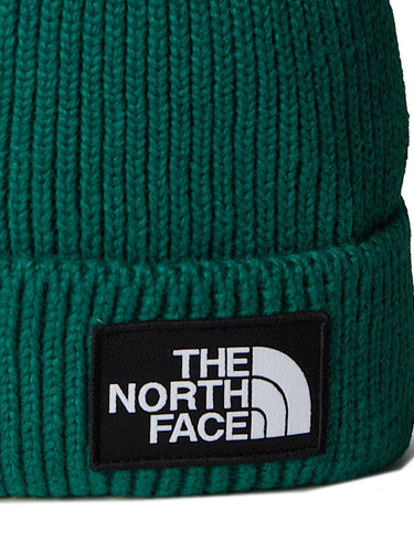 Berretti in maglia Unisex The North Face - Berretto Con Risvolto E Logo Box Tnf - Verde