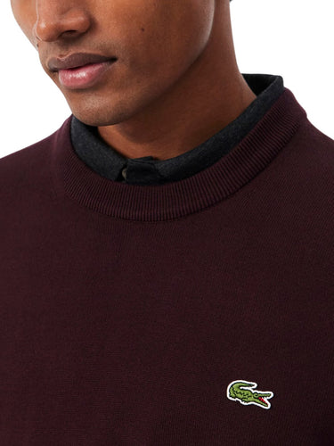 Maglioni Uomo Lacoste - Pullover Con Collo Rotondo In Cotone Biologico - Marrone