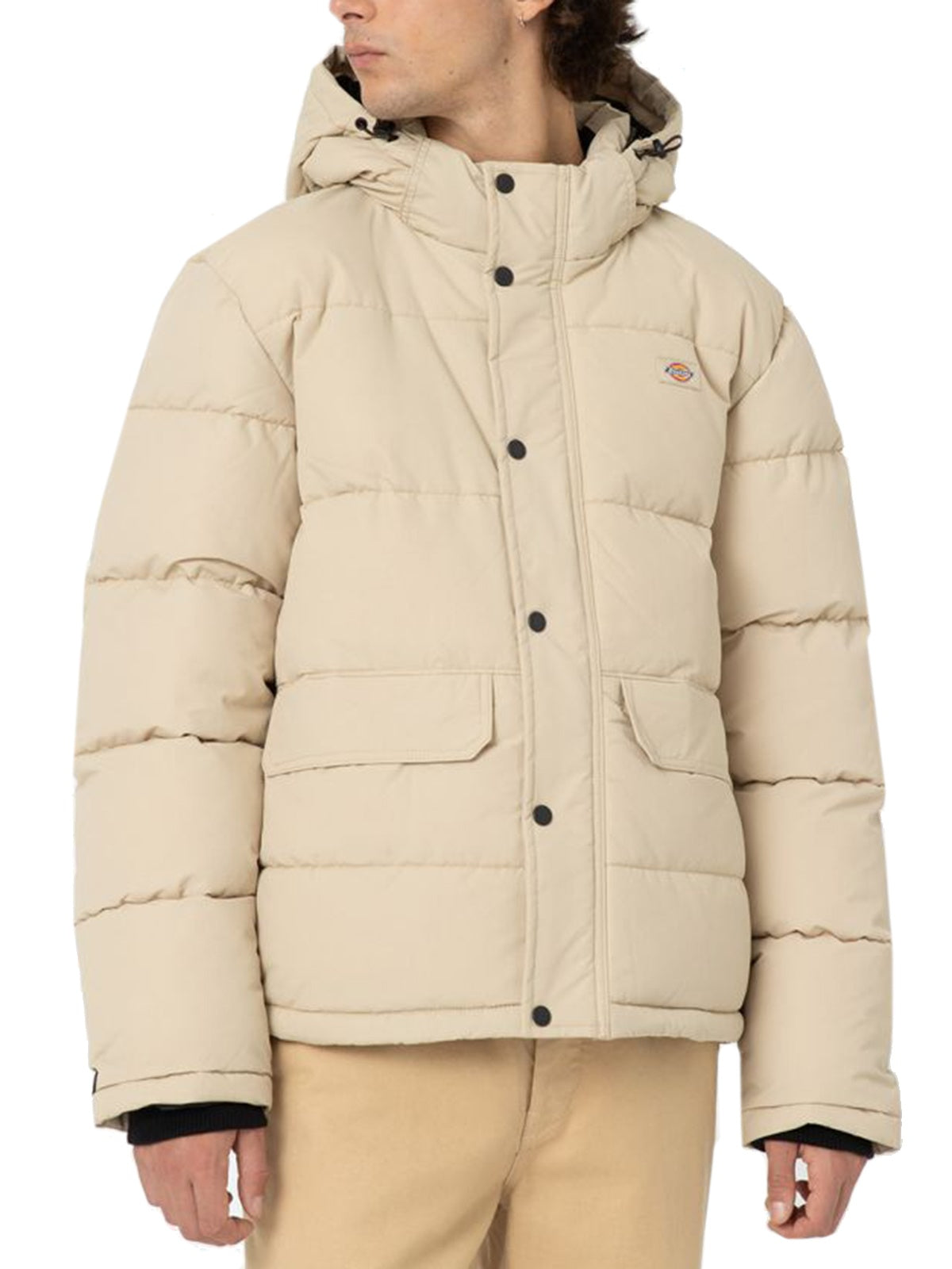Giacche Uomo Dickies - Glacier View Puffer - Beige