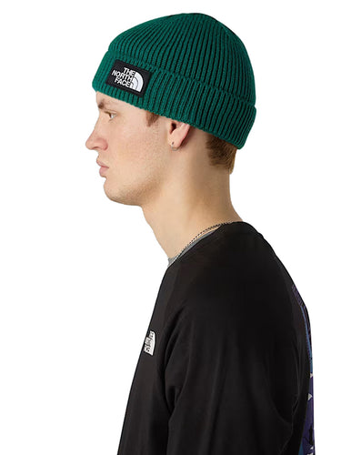 Berretti in maglia Unisex The North Face - Berretto Con Risvolto E Logo Box Tnf - Verde