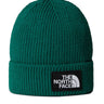 Berretti in maglia Unisex The North Face - Berretto Con Risvolto E Logo Box Tnf - Verde